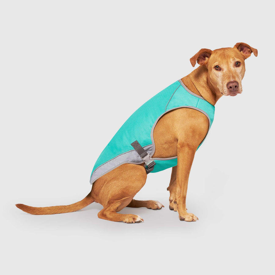 Chill Seeker Cooling Vest Wet Reveal - Preferred Catalog
